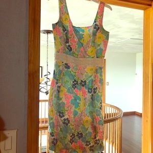 Lilly Putlizer dress